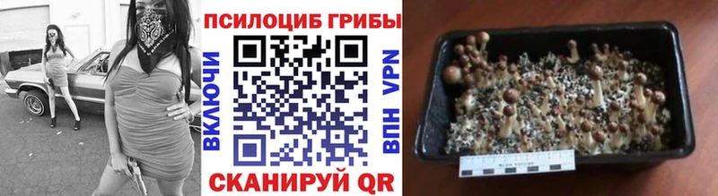 Галлюциногенные грибы мухоморы  Елизаветинская 